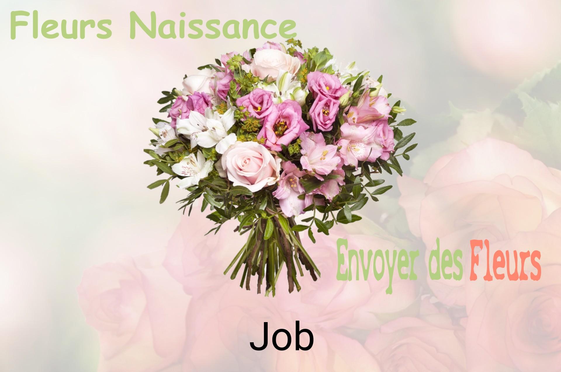 Bouquet de fleurs de naissance livré à Job